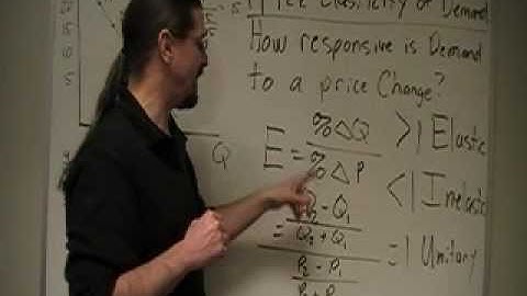 Lecture 8 - Price Elasticity of Demand