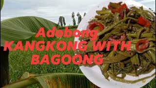 ADOBONG KANGKONG WITH BAGOONG,ROAD TRIP, HARVESTING VEGETABLES