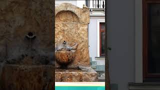 КАК КИПЧАКИ ГРУЗИНСКУЮ ЦАРИЦУ ТАМАРУ ЗАМУЖ ВЫДАВАЛИ#загадкиистории #reflectionsonhistory #грузия