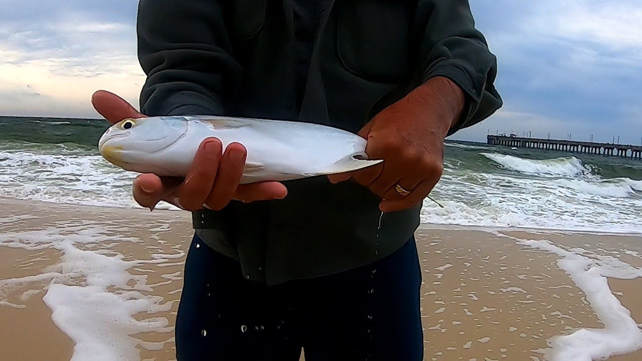 He Caught This Pompano with His BARE HANDS - Surf Fishing for Big Pompano 