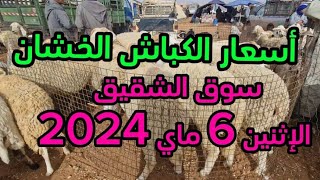 أسعار الكباش الخشان من سوق الشقيق الإثنين 6 ماي 2024