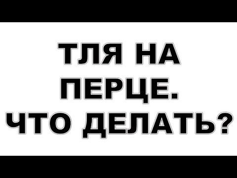 Бейне: «Актофит»: пайдалану жөніндегі нұсқаулық, шолулар. Ауыл шаруашылығы дақылдарының зиянкестеріне қарсы дайындық