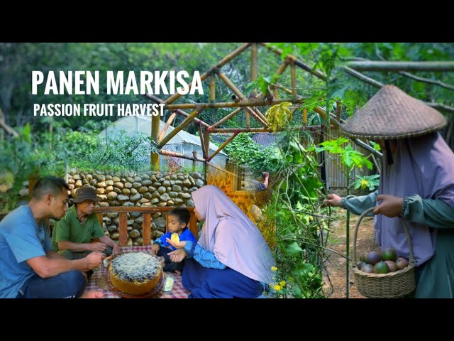 Making food & drinks from sour fruit | dismantling bamboo huts | Living in the Village class=