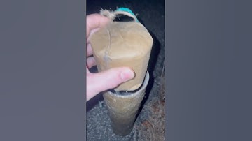 Homemade XL canister shell, crazy! Thank you for 600 subs! #fireworks #pyro #pyrotechnics