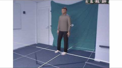 IpiSoft MoCap test