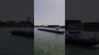 Schiffe im Hafen von Rotterdam #mino60art #travel #sea #abenteuer #shorts #fun #hobby #hafen