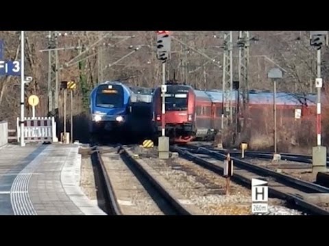 New Traunstein - Meridian - railjets - ICs/ECs (BR 101, ÖBB 1016) - SOB (BR 628, 426) - Güterzüge