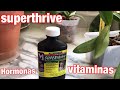 Cómo utilizar las vitaminas y hormonas en las orquídeas de diferentes formas