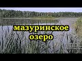 Убитое озеро. #мазуринка #отстойник #водоканал