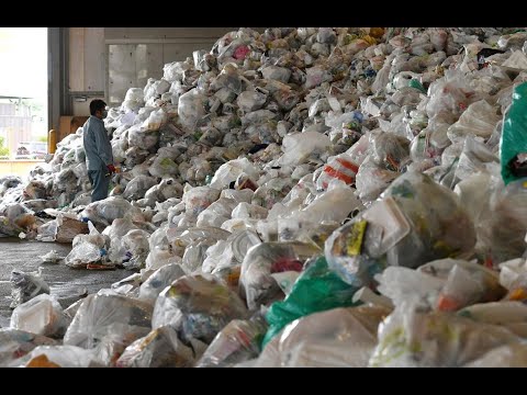 იაპონიამ პოლიეთილენის პარკებზე ფასი დააწესა