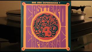 Easy Tempo  Experience Are You Experienced ?  vinyl lp album  Piero Piccioni, Guido De Angelis
