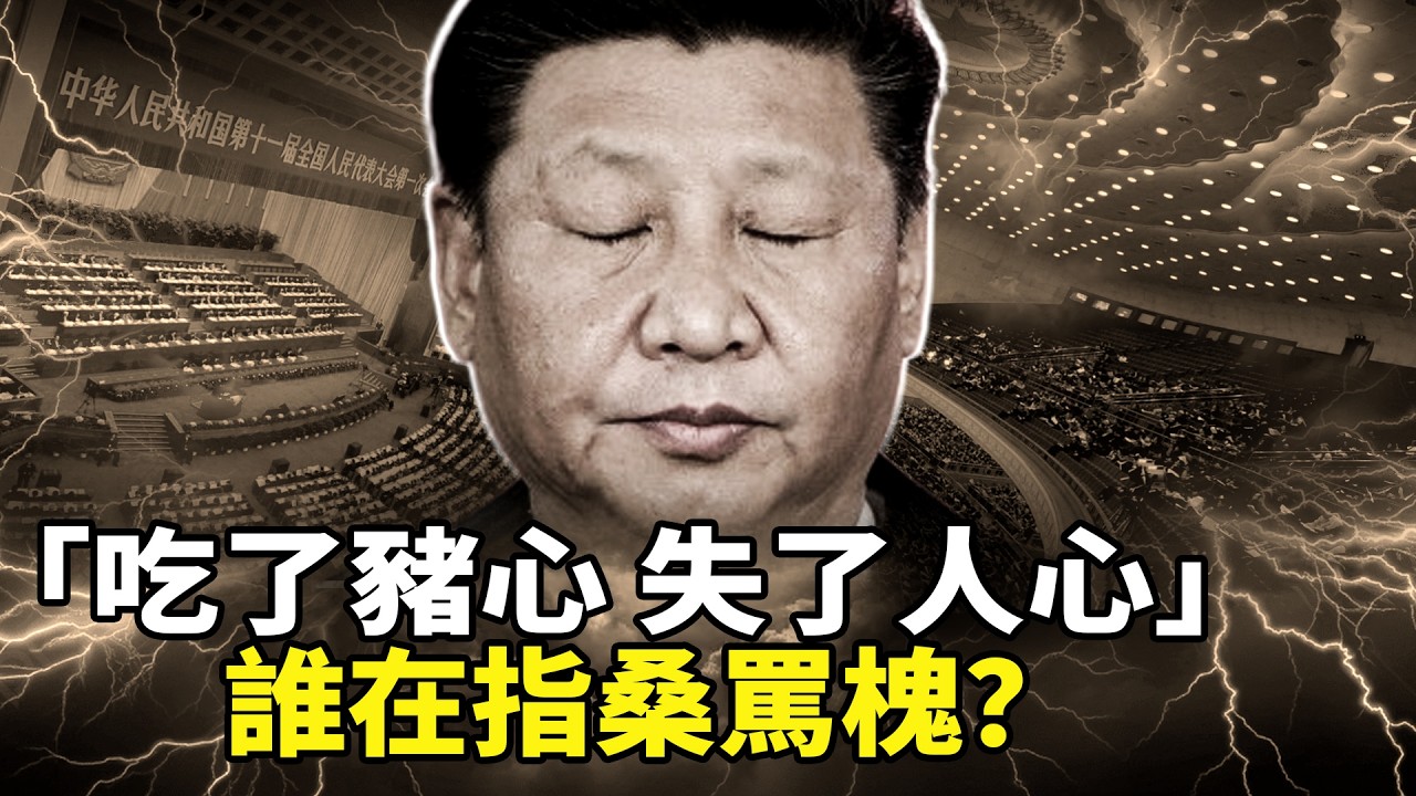 北京两会异象：军报标题「吃了猪心失人心」暗指谁？113名代表集体消失，GDP创35年新低！李强报告揭示2026经济大寒冬！军费飙升与将领落马背后的权力真空