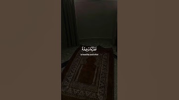 شيء اكتب تؤجر عليه ❤️🌨️ #القارئ ياسر الدوسري
