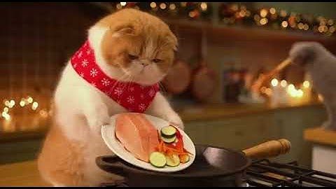 Give You A Gift On Chrisrmax