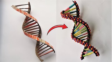 Cardboard DNA Model Project