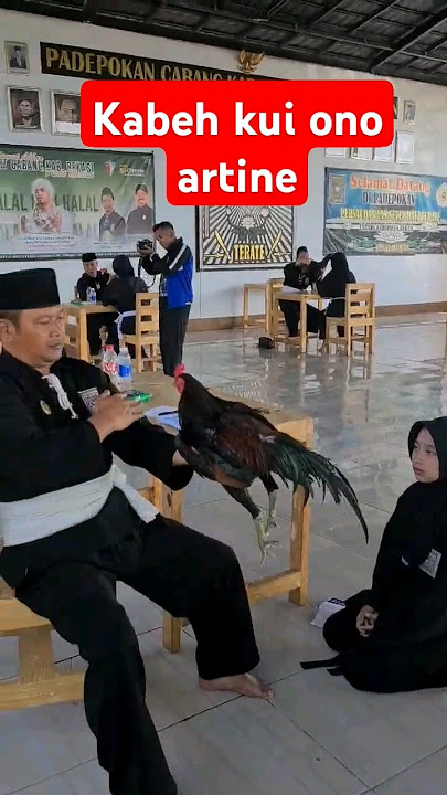 TES JAGO 2024 #TES AYAM JAGO 2024 #TES JAGO PENGESAHAN 2024 #TES JAGO #psht#story #storywa #shorts #