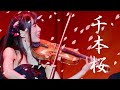 千本桜 - GENRELESS THE BEST CONCERT TOURより - ／AYAKO ISHIKAWA 石川綾子