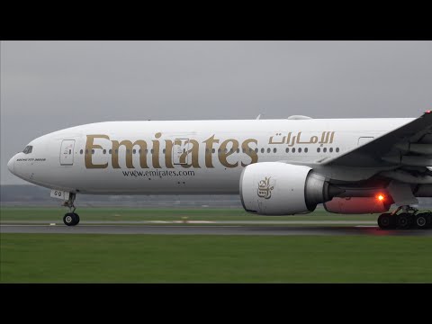[4K] Autumn Plane Spotting Morning at Schiphol Airport | B767, B777, B787, A330 & More!