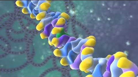 Gene Transcription - Celgene - Medical Animation Video