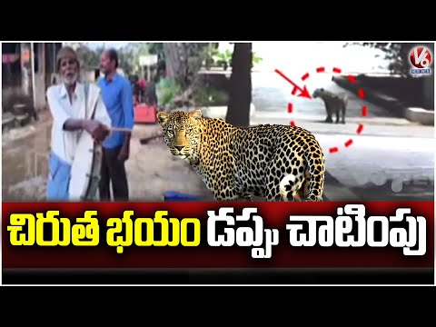Leopard Hulchul In Chittoor Andhra Pradesh | Dandora | V6 News - V6NEWSTELUGU