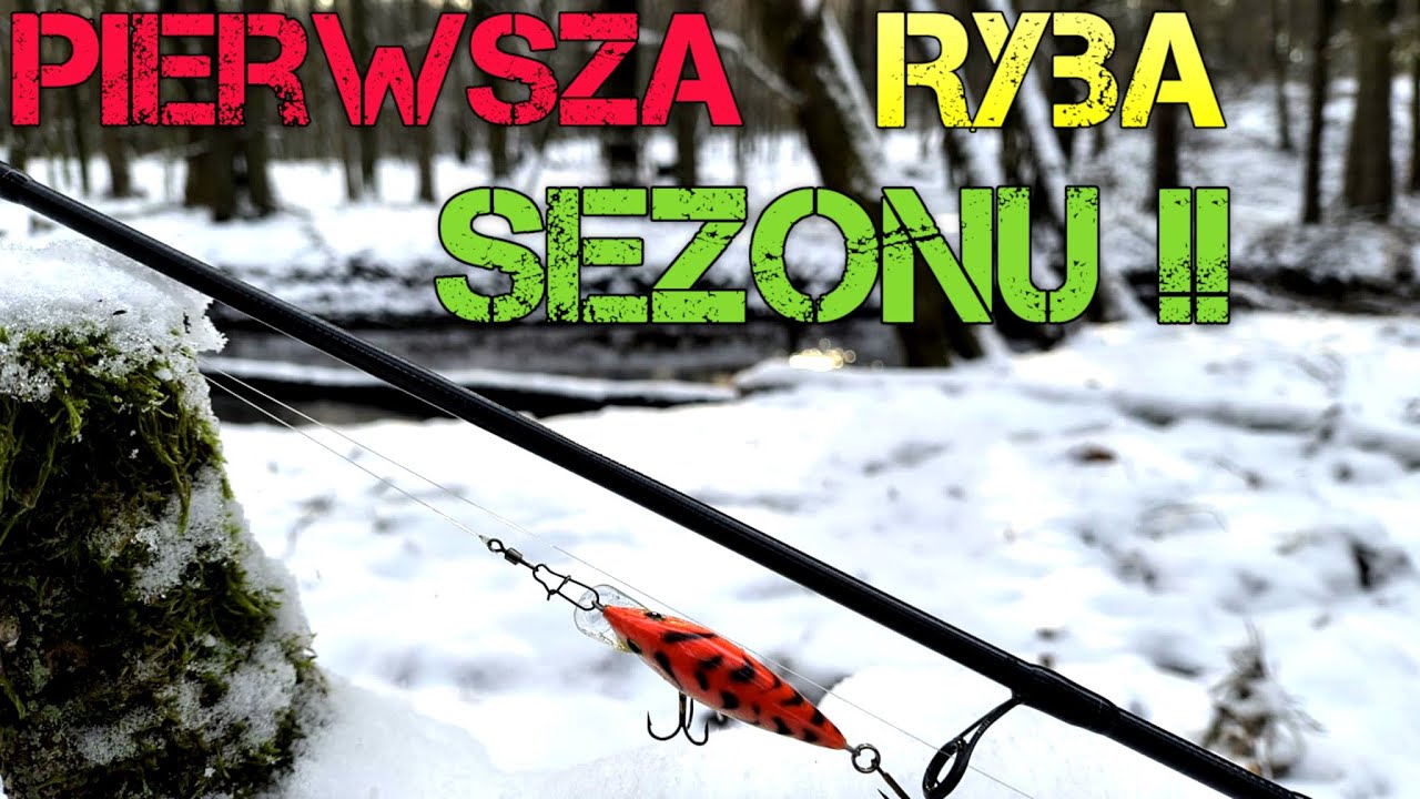 Pierwsza RYBA Sezonu !! TROĆ PSTRĄG 2025 !! Rzeka Oddaje !! Wędkarstwo Rzeczne Na PZW !!