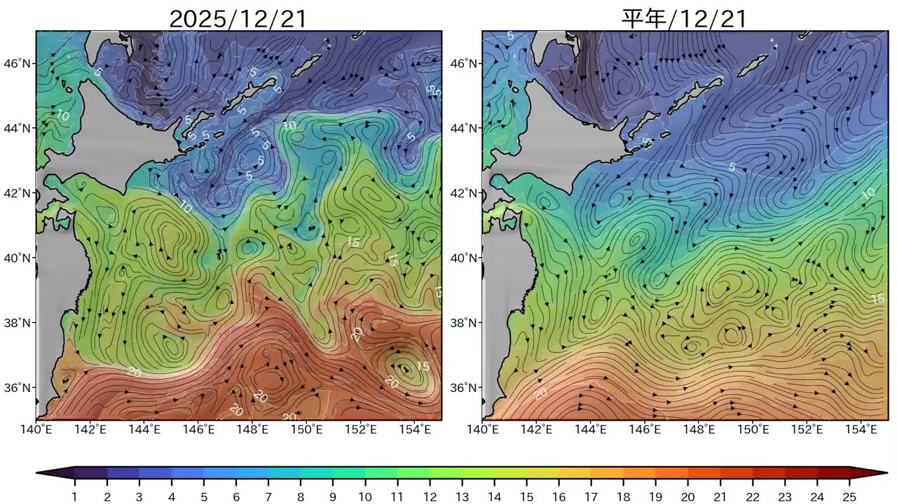 親潮系と黒潮系の水の勢力争い(親潮ウォッチ2025/11) – 黒潮親潮ウォッチ
