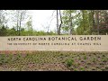 The north carolina botanical garden preserves native species