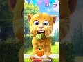 Talking Ginger 2 GameplayRexerGaming2 Talking Ginger 2 GameplayRexerGaming2
