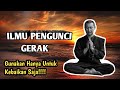 Ilmu pengunci gerak