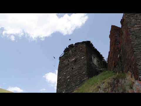 kvavlo. კვავლო.  extreme jackals