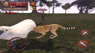 Furious Cheetah Family Simulator, 3D screenshot 4