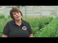 Veritas Farms Offers a Glimpse of the Future for American Hemp