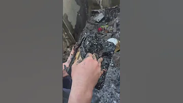 Fire In Bandar Abbas Iran And The Quran S Survival یاحسین یارضا ترند امام رضا حسینیه Yaali 