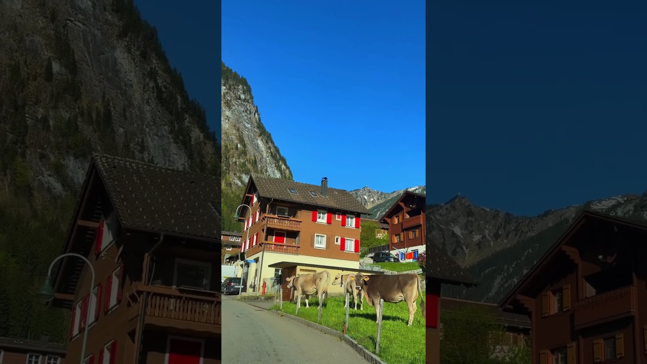 Beautiful Switzerland 🇨🇭 #switzerland #travel #youtubeshorts #nature