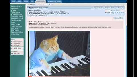 How To Embed Videos into BlackBoard