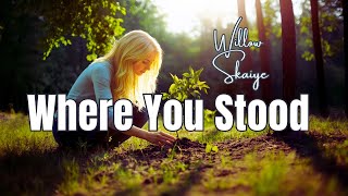 Where You Stood – Willow Skaiye | Acoustic Memorial Day Tribute Ballad