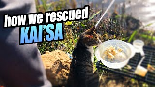 We went to catch fish but got a CAT instead... | VLOG