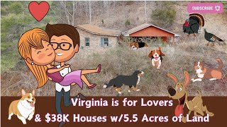 $38k House w/ 5 Acres of LAND for Virginia Lovers