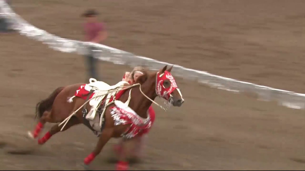 Trick Riding At The Ponoka Stampede 2018- Shelby Pierson