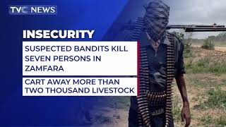 Details WATCH | Suspected Bandits Kill Seven Persons in Zamfara News