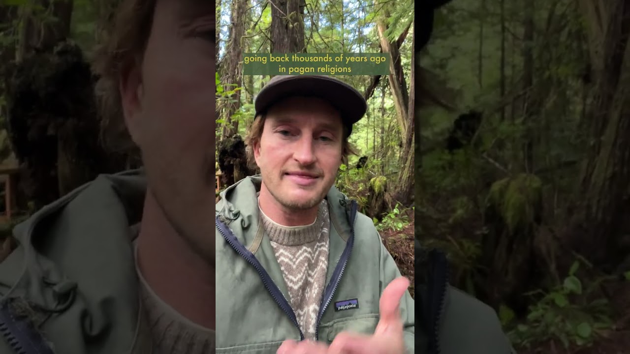 Nature isn't real - never has been, never will be. - YouTube