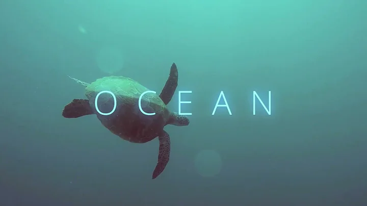 Ocean - Jorge Ostos - Score - #thecuetube