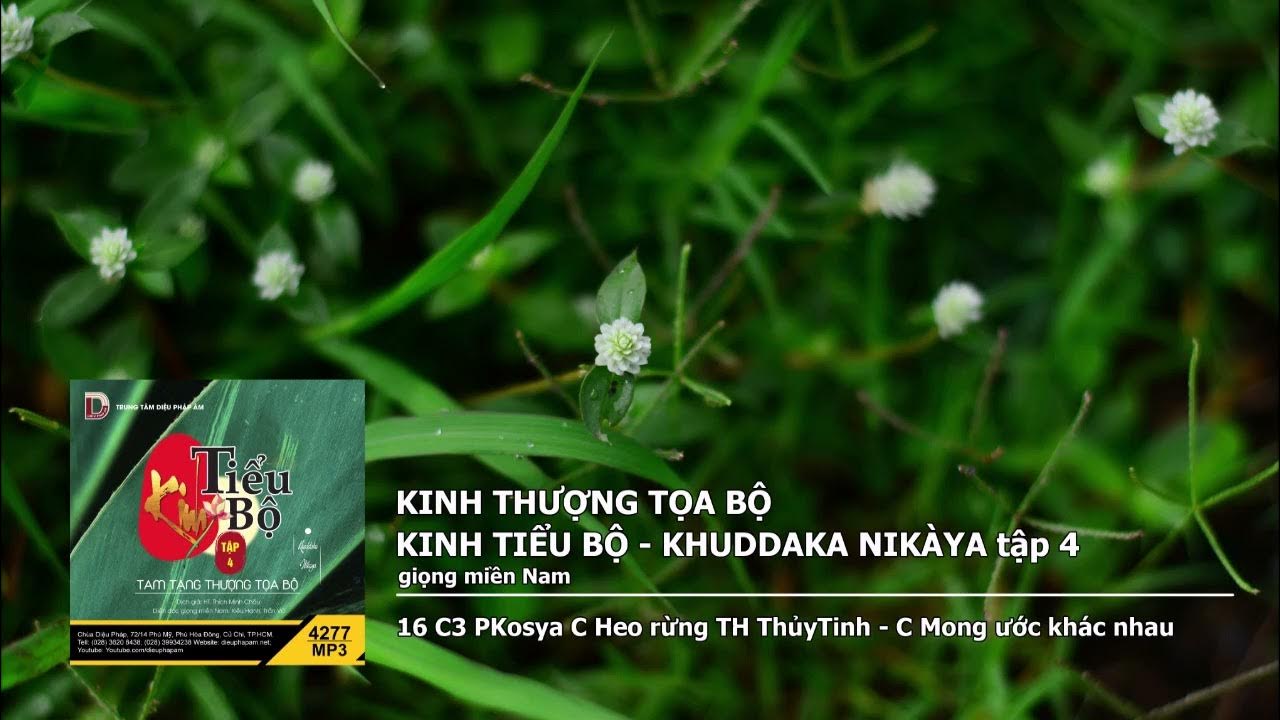 Tập 4 – 16 C3 PKosya C Heo rừng TH ThủyTinh – C Mong ước khác nhau giọng miền Nam 