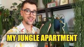 6 Plants That Turned My Tiny Apartment Into a Jungle