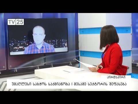 უმაღლესი საბჭოს საქმიანობა | მესამე სექტორის შეფასება