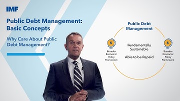 Why Care About Public Debt Management