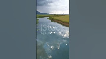 تلاوة من سورة مريم #القرآن_الكريم #مشاري_العفاسي #المصحف #اكسبلور