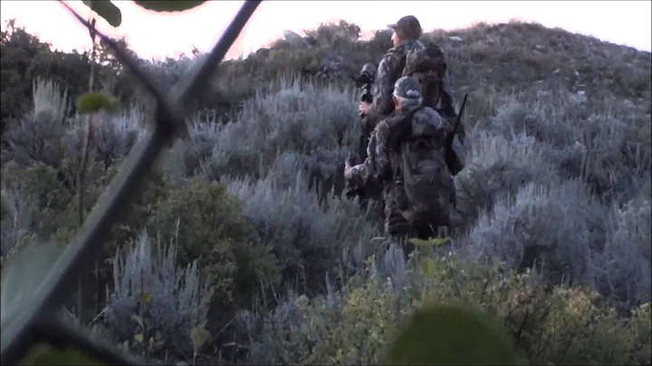 Jose Caraballo Elk-The Stalk 2