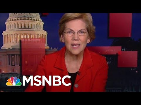 Elizabeth Warren On Her Call To End Trump Corruption | All In | MSNBC