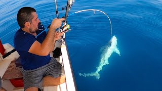 Köpek Balığı Kamışı Kırdı / Rod Breaking Shark